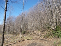 nte Cicirello-10042012 026